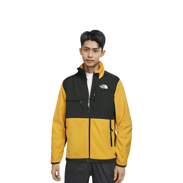 THE NORTH FACE 1995 RETRO DENALI JACKET Denali