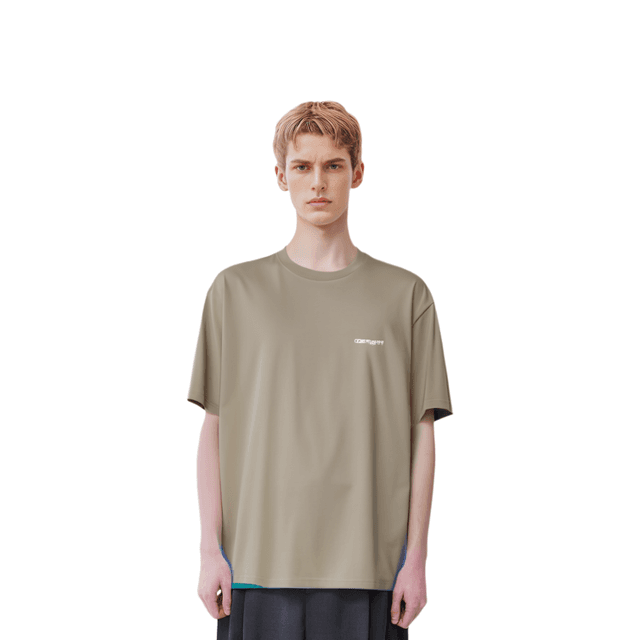 Carhartt WIP SS Script Embroidery T-Shirt T