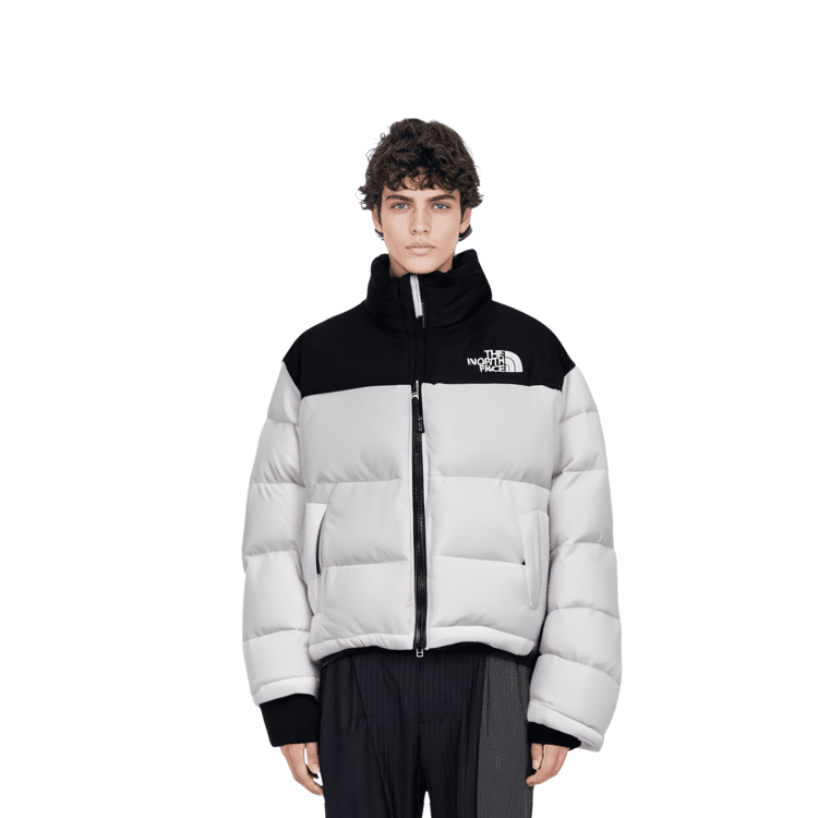 THE NORTH FACE FW22 1996 M's Eco Nuptse Jacket Logo