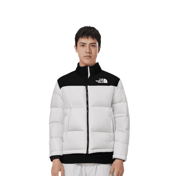 THE NORTH FACE FW22 1996 M's Eco Nuptse Jacket Logo