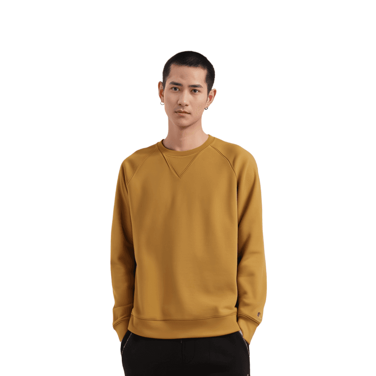 Carhartt WIP FW23 VLogo