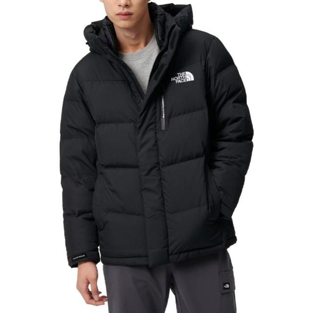 THE NORTH FACE FW23 ACT FREE Logo