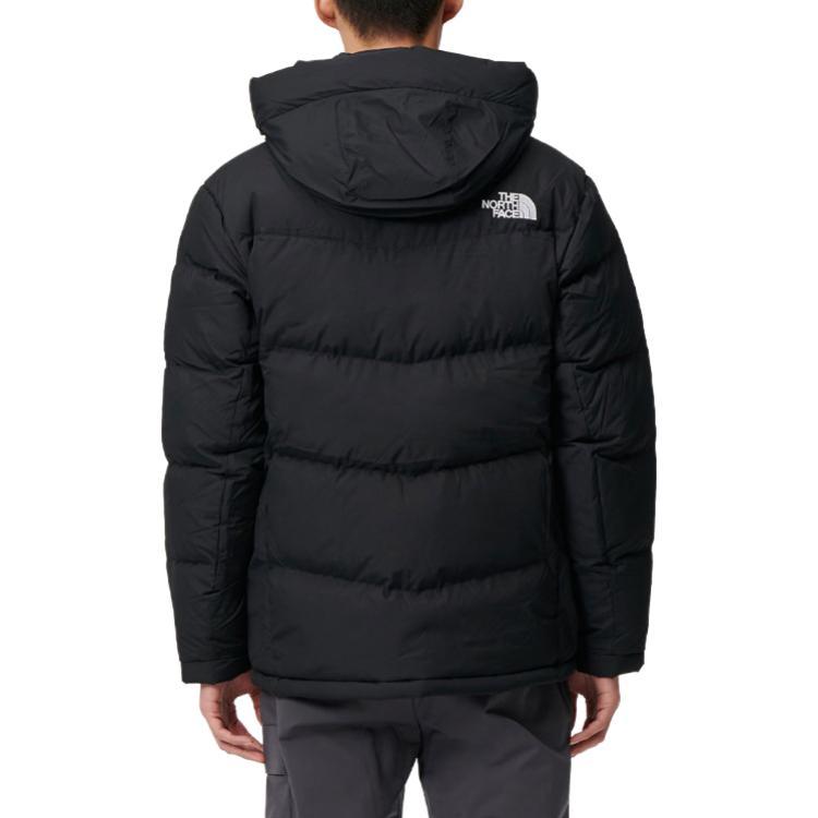 THE NORTH FACE FW23 ACT FREE Logo