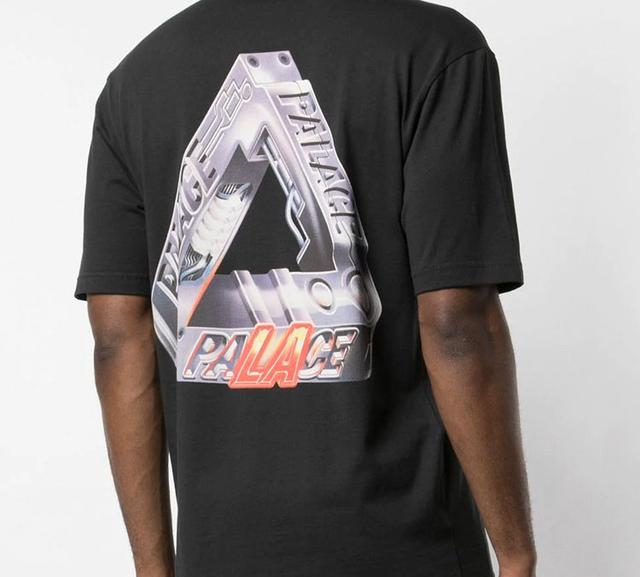 PALACE Terminator T