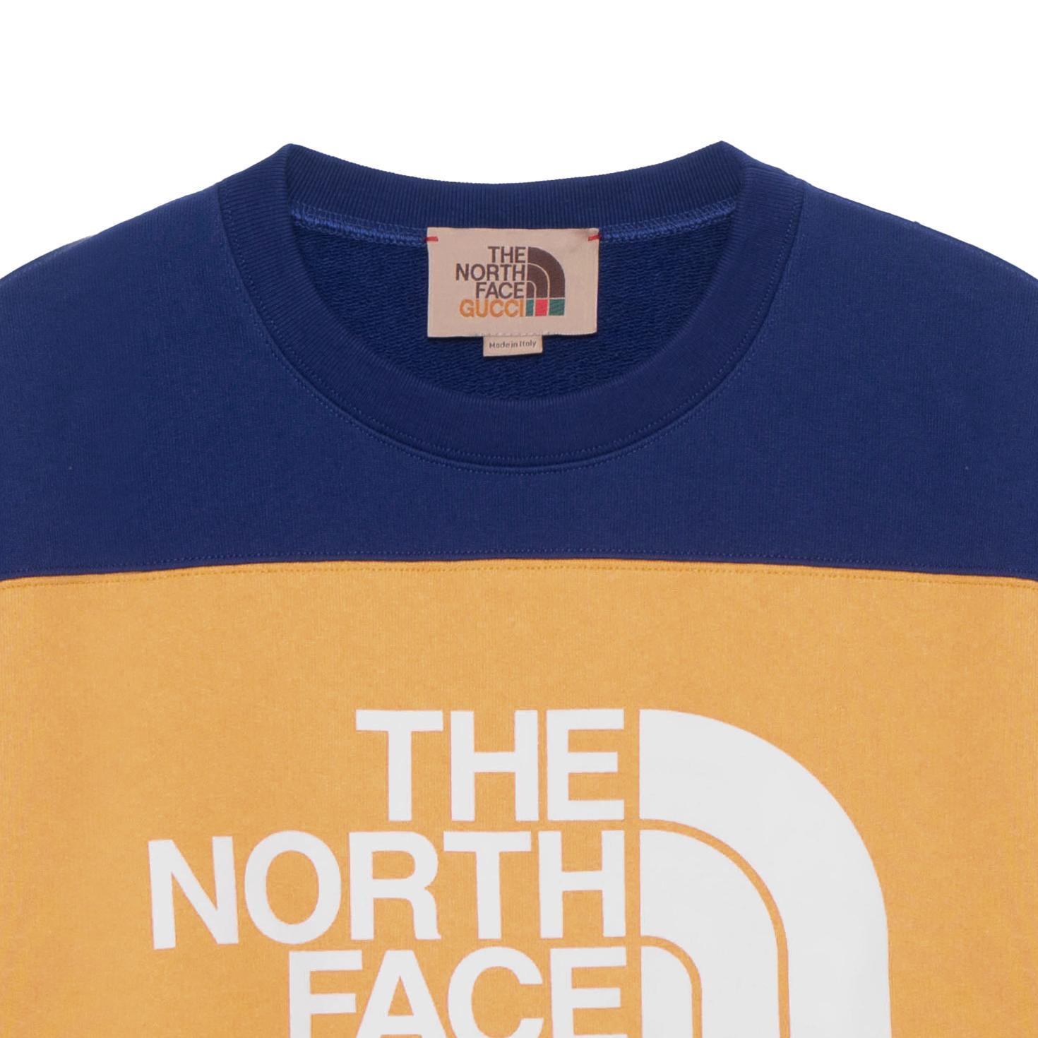 GUCCI x THE NORTH FACE SS22