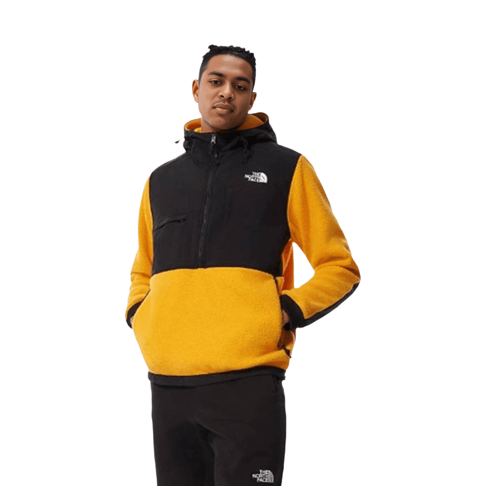 THE NORTH FACE 1995 RETRO DENALI JACKET Denali