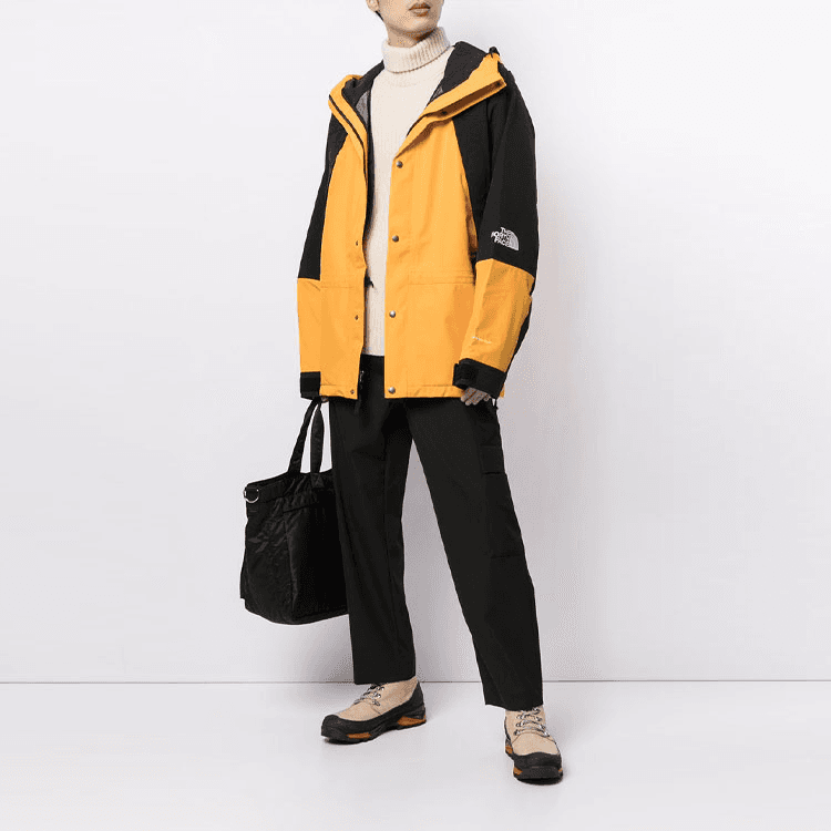 THE NORTH FACE Retro Mountain Light Futurelight