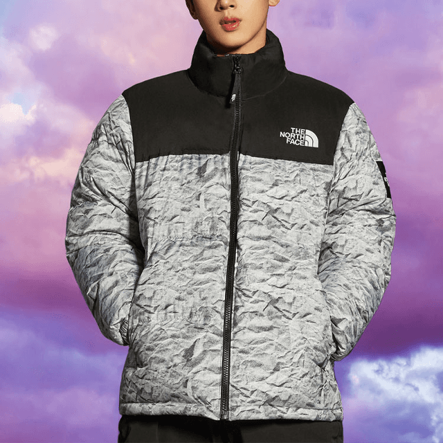 THE NORTH FACE Novelty Nuptse Logo