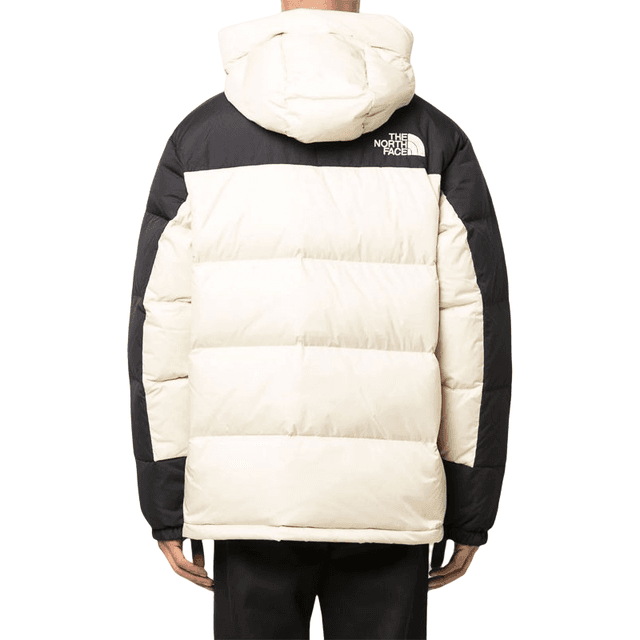 THE NORTH FACE FW22 Logo