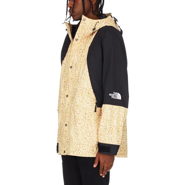 THE NORTH FACE 1994 Seasonal Retro Mountain Light