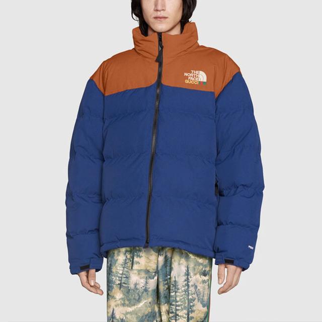 GUCCI x THE NORTH FACE FW22 Logo