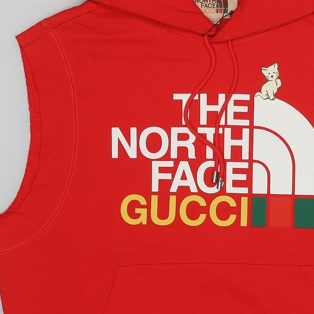 GUCCI x THE NORTH FACE FW21 Logo