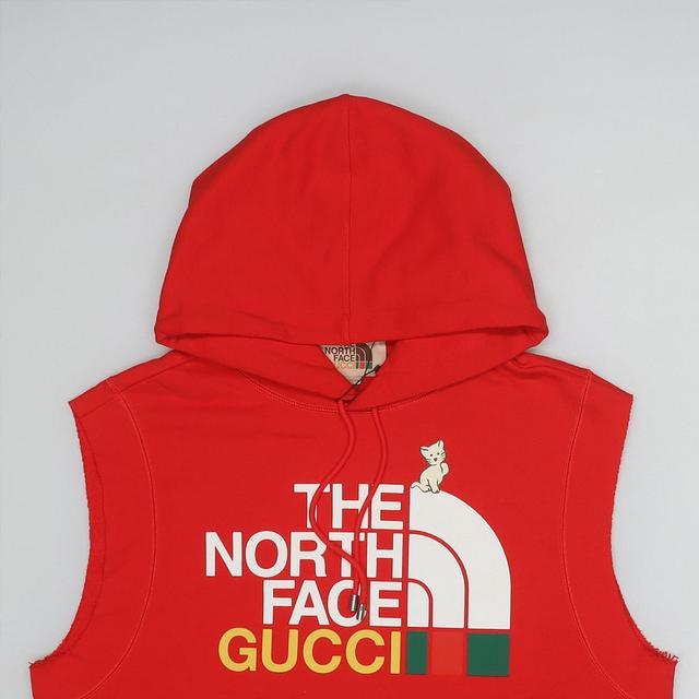 GUCCI x THE NORTH FACE FW21 Logo