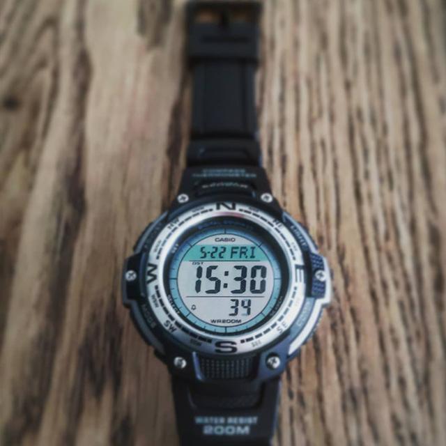 CASIO PRO TREK LED SGW-100-1V