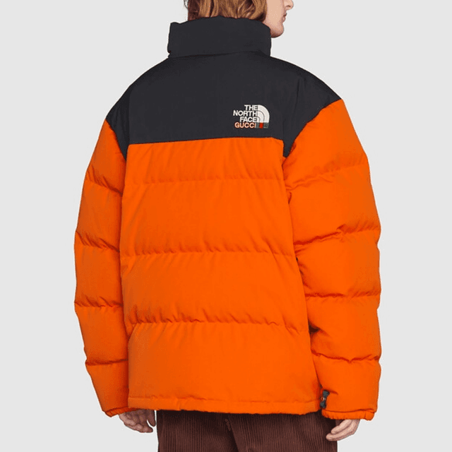 GUCCI x the north face SS22