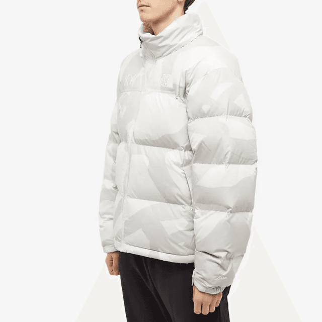 THE NORTH FACE TNF x KAWS FW22 logo