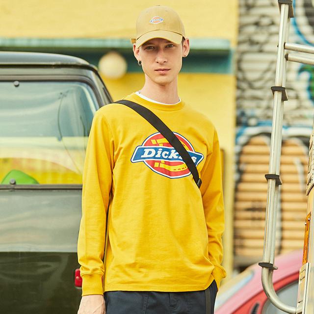 Dickies FW22 logo