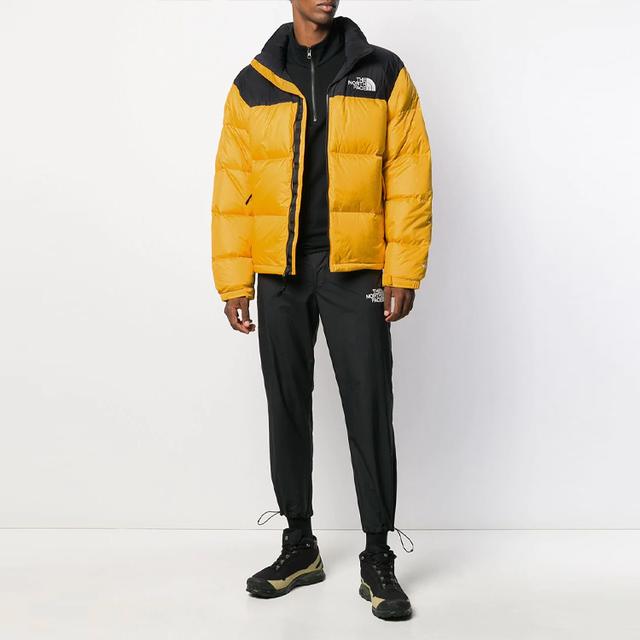 THE NORTH FACE Men's 1996 Retro Nuptse Jacket 700