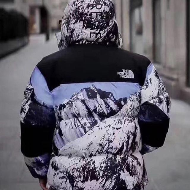 Supreme x THE NORTH FACE