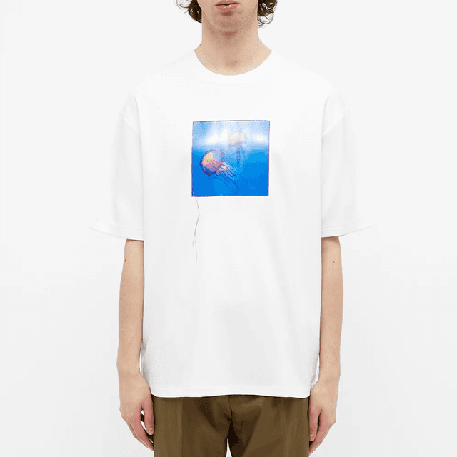 Acne Studios T