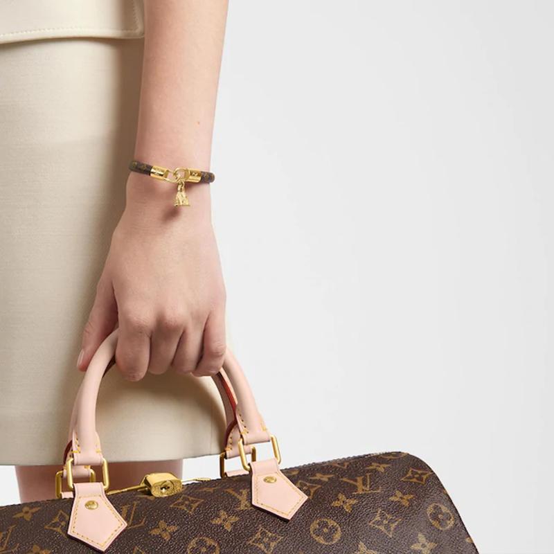 LOUIS VUITTON LV Monogram