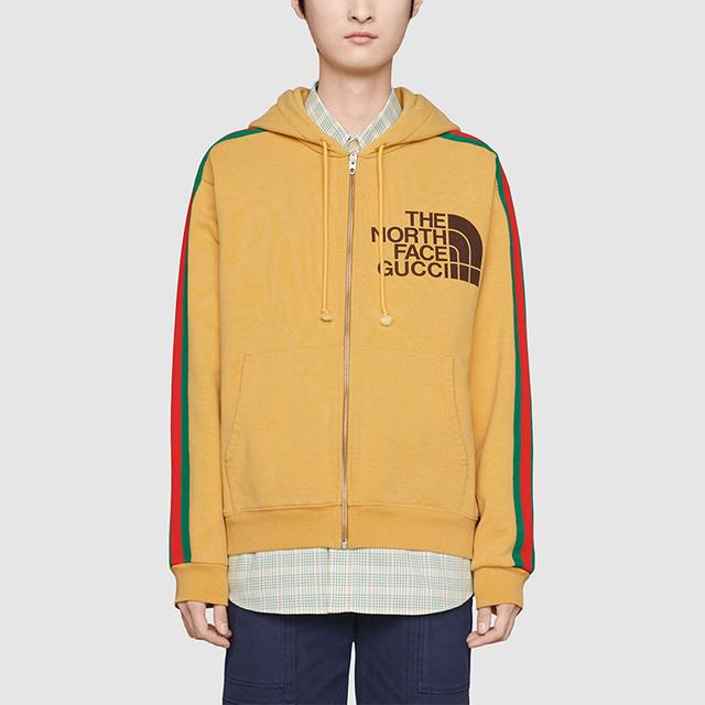 GUCCI x the north face logo