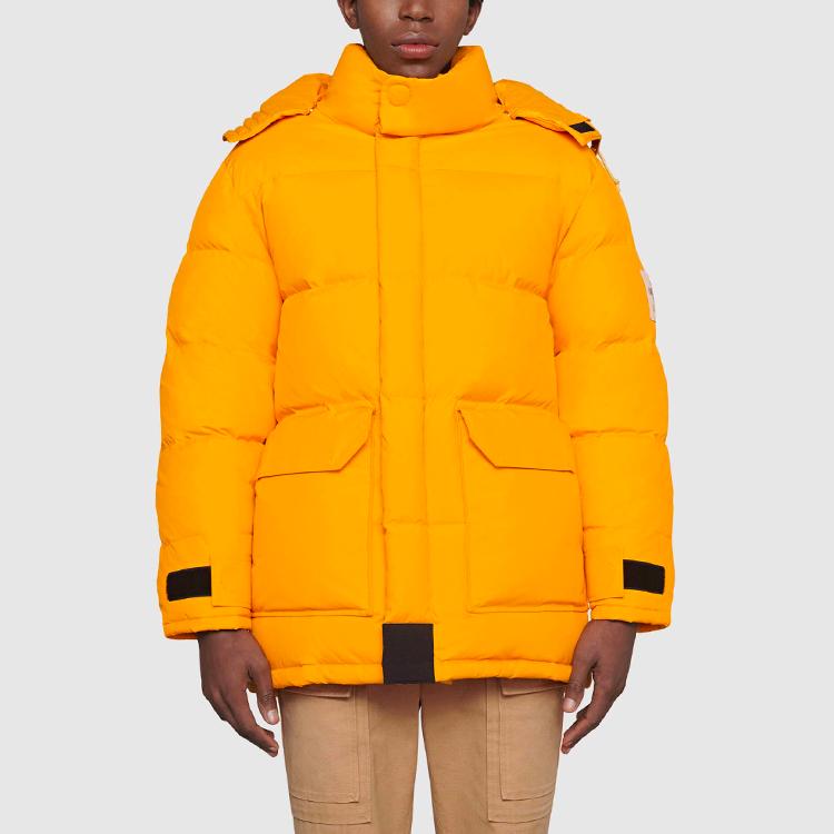 GUCCI x THE NORTH FACE Logo