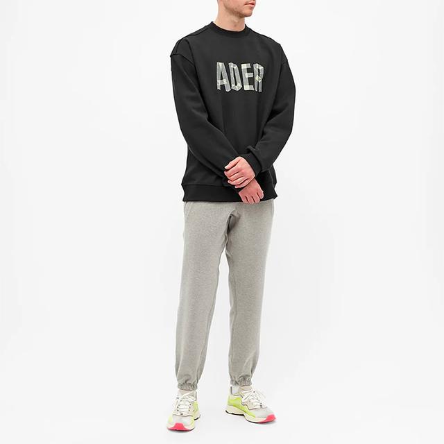 ADER ERROR logo