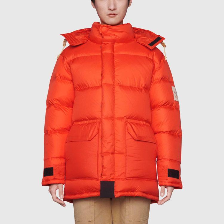 GUCCI x the north face