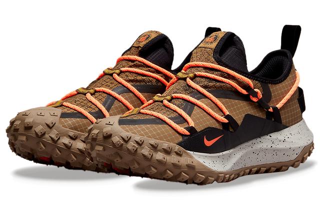 Nike ACG Mountain Fly Low GTX SE