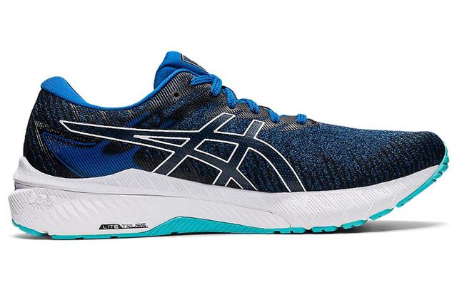 Asics GT-2000 10 2E