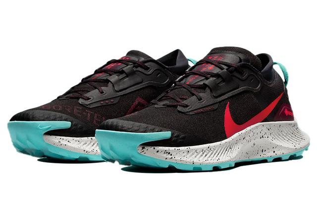 Nike Pegasus Trail 3 Gore-Tex