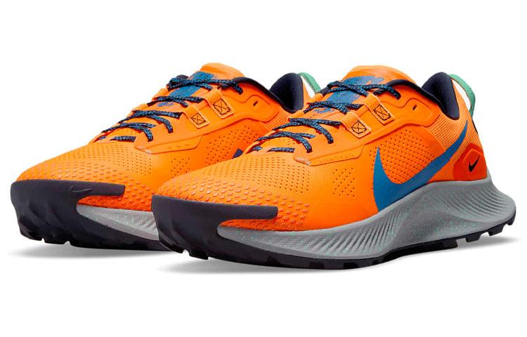 Nike Pegasus Trail 3