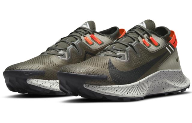 Nike Pegasus Trail 2