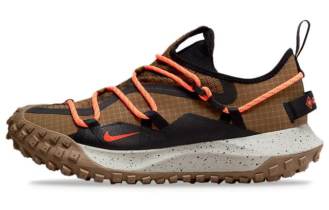 Nike ACG Mountain Fly Low GTX SE