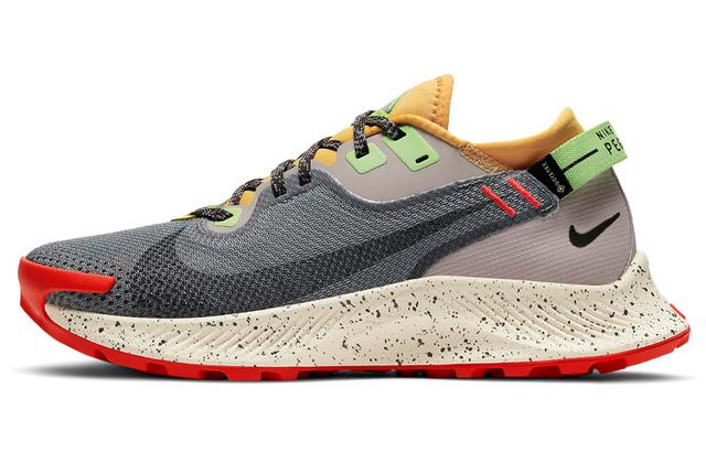 Nike Pegasus Trail 2 GTX