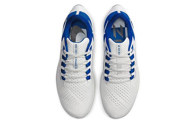 Nike TOTO College Air Zoom Pegasus 38 "Kentucky"