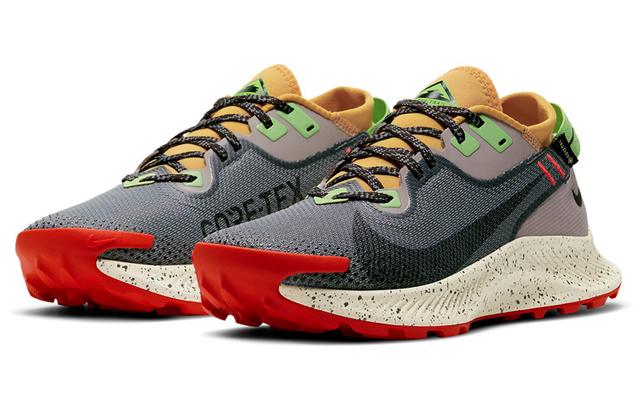 Nike Pegasus Trail 2 GTX