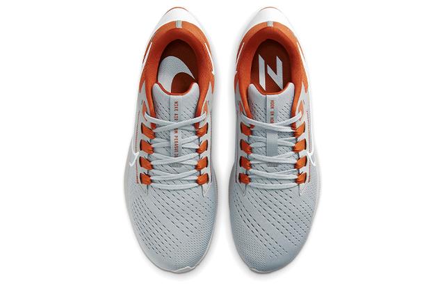 Nike Pegasus 38 Texas