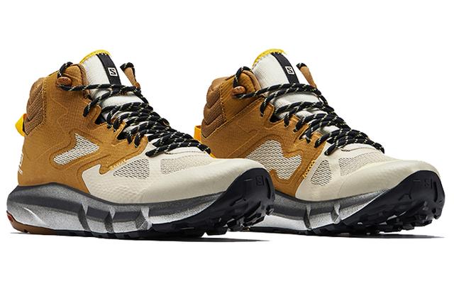 Salomon Predict Hike Mid Gtx