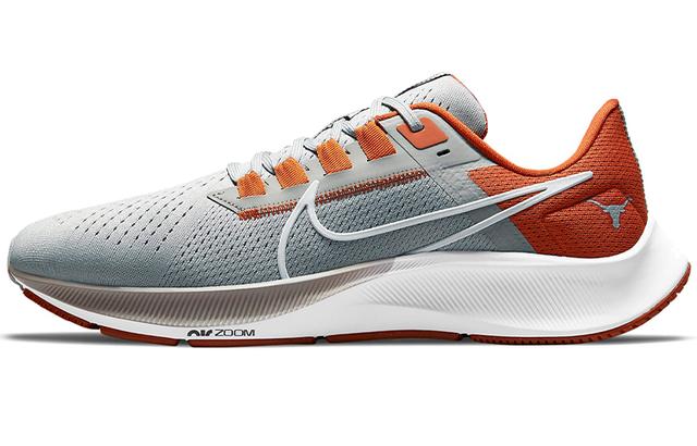 Nike Pegasus 38 Texas