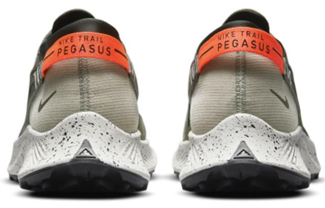 Nike Pegasus Trail 2