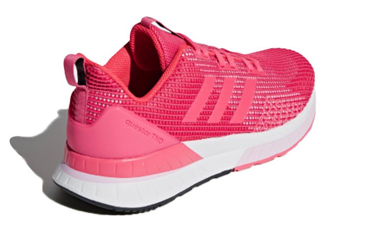 adidas neo Questar Tnd