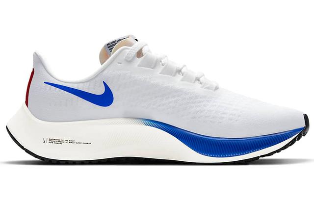 Nike Pegasus 37 premium