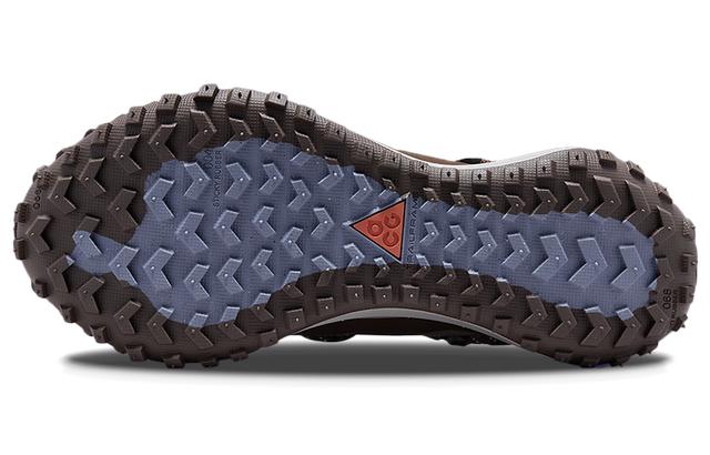 Nike ACG Mountain Fly Low SE