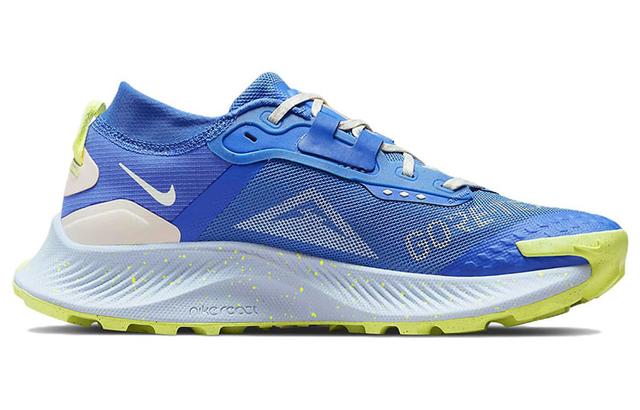 Nike Pegasus Trail 3 Gore-Tex