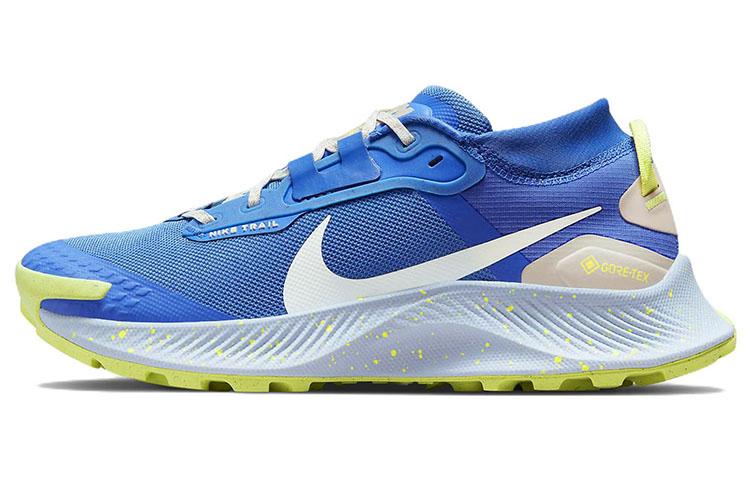 Nike Pegasus Trail 3 Gore-Tex