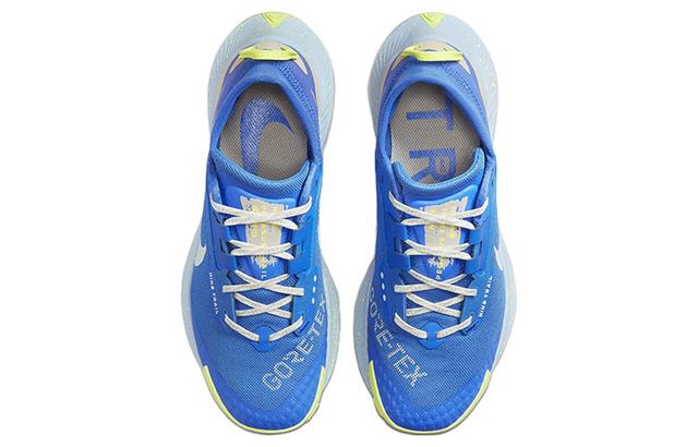 Nike Pegasus Trail 3 Gore-Tex