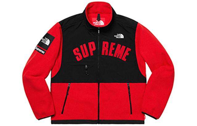 Supreme x THE NORTH FACE SS19