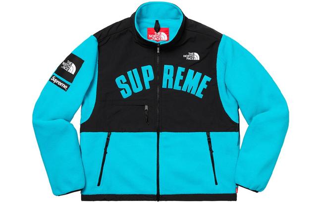 Supreme x THE NORTH FACE SS19